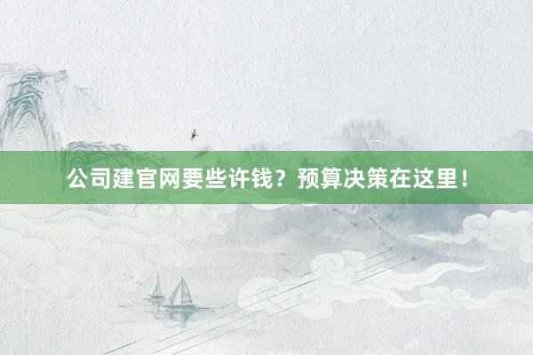 公司建官网要些许钱?预算决策在这里!