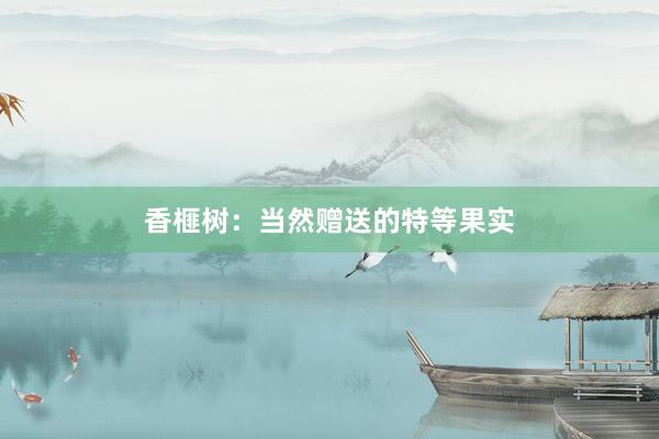 香榧树:当然赠送的特等果实